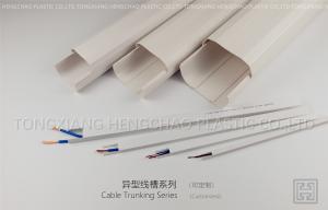 Wholesale Green Level PVC Building Profile , Extruded Plastic Cable Trunking from china suppliers