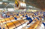Building Construction Galvanised Sheet And Coil , Pre Painted Metal Sheet