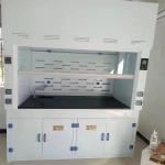 Customized Made Wall Mounted Chemical Fume Hood With Scrubber Systems