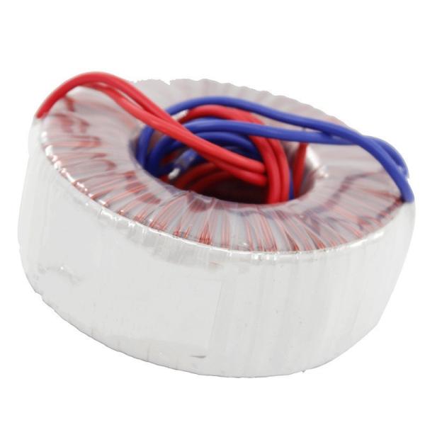 240V Toroidal Transformer 100W 100VA for 12V 24V 48V Conversion