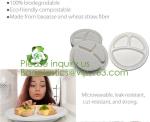 Biodegradable, Sugar Cane, Sugarcane Bamboo Pulp, Bento Box, Bagasse Food
