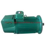 Y2 Series Electric Motor for Pump and Blower with High Efficiency Energy Saving