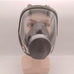 PPE Anti-toxic Chemical Full Face Gas Mask With Filter