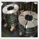 ASTM Plat Strip Stainless Steel 0.6mm Thick Rolled Steel Strips 40mm Width