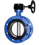 4 Inch Integral gluing Double Flange CF8M Flange Butterfly Valve