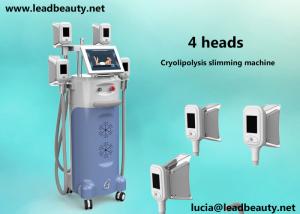 Wholesale CE approved! 12 inch big screen Cryolipolysis Fat Freeze Slimming Machine With 1000W Output Power from china suppliers