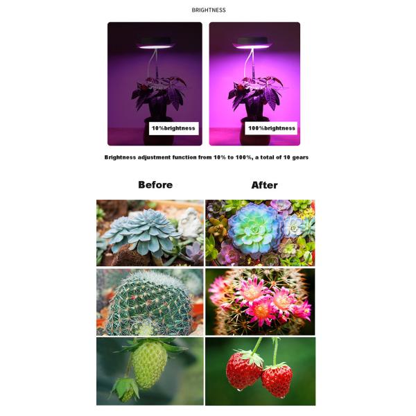 5V Dimmable 3 Hours LED Growth Lamp CE Red Led Grow Light