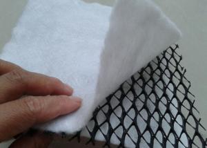 Wholesale HDPE 3D Composite Geonet / Geocomposite Drain Width 1 - 4m with white geotextile from china suppliers