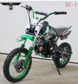 Wholesale D7-12e 110cc Electric and Kick Start Dirt Bike from china suppliers