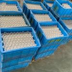 High Precision plunger ceramic al2o3 for Chemical and Pharmaceutical Manufacturi