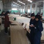 China Manufacturer Lengthened Size Of Reconstituted Ledar Wood Veneer Vertical