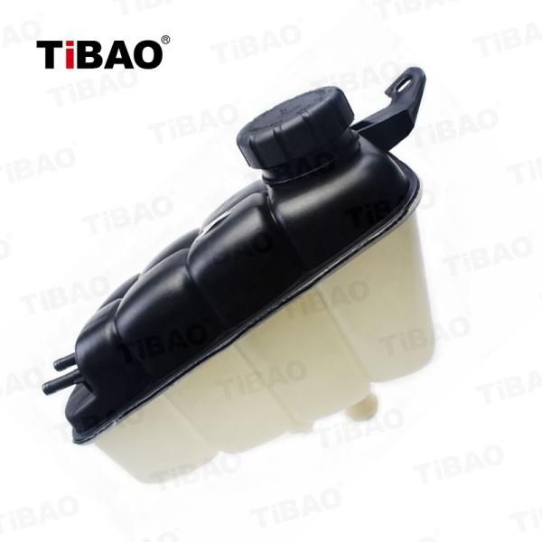 Auto Cooling System Automotive Expansion Tank 220 500 0049 2205000049 For