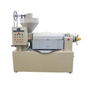 Wholesale Large Capacity Palm Kernals Oil Processing Machines Groundnuts Oil Extraction from china suppliers
