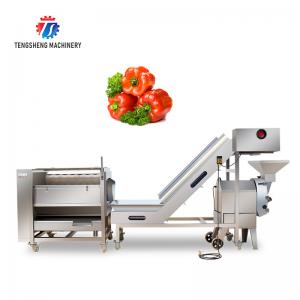 China 1000kg/H Pineapple Cutting Machine Fruit Vegetable Production Line on sale