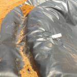 Contemporary Design Style HDPE Landfill Geomembrane Liner 0.5mm Thickness