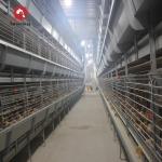 30000 Birds Hot Dip Galvanized Steel H Type Battery Cages For Broiler Chicken