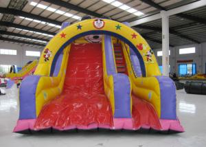 Wholesale Mickey High Slide Commercial Inflatable Water Slides, Enviroment - Friendly from china suppliers