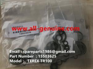 Wholesale 15503625 COMPLETE REG SEAL KIT TEREX TR100 DUMP TRUCK HAULER OFF HIGHWAY TRUCK from china suppliers