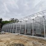 Good Thermal Insulation Venlo Polycarbonate Sheet PC Panel Greenhouse