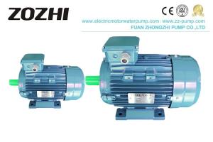 Wholesale 4 Pole 1000m Elevation 0.75KW 3 Phase Induction Motor from china suppliers