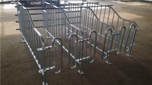 Wholesale Galvanized Steel Pipe Pig Gestation Crates In Pig Farm House 2.2m*1.0m*0.6m from china suppliers