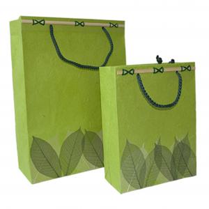 Wholesale Medium Lime Matt Laminated Carrier Bag g With Rope Handle Shopping Paper Bags from china suppliers
