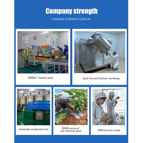 20000U/G Xylanase Enzyme Xylanase In Food For Baking Bread