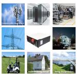Golf Carts Battery Lithium Lifepo4 48V 100Ah 200Ah 304Ah Server Rack Mount for
