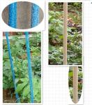 High Strength Fiberglass Pultruded Rod For Tomato Stakes