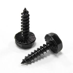 Wholesale SS304 Cross Recessed Hex Head Self Tapping Roofing Screws Black Color Galvanized from china suppliers