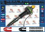 Original QSK19 QSK60 Fuel Injector F00BL0J019 2867149 4964173 4955527 4964170