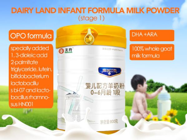 Dairy Land Baby Formula Goat Milk Powder Promote The Intellectual And Visual