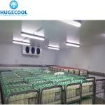 10 Cold Storage Room for Fruits Vegetables Meat Fishes Water Cooled and Return