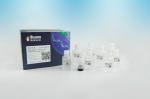 Protein A/G Antibody Magnetic Beads Protein Purification 2μm 30 mg / mL 5 mL