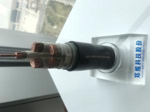 Wholesale 0.6/1KV Two Cores Armoured Power Cable With PVC Insulation （CU/PVC/LSZH/DSTA/NYBY/N2XBY/NYRGBY/NYB2Y） from china suppliers