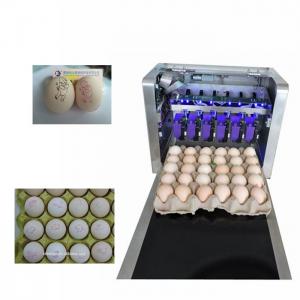 China Eggs Batch Code Food Inkjet Printer , Continuous Laser Marking Machine  on sale