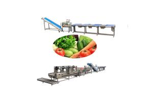 Wholesale 10KW Vegetable Salad Cabbage Lettuce Washing Production Line from china suppliers