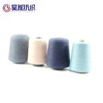 2/48NM Wool Nylon Sock Yarn Anti Pilling Core Spun Pbt Knitting Viscose Nylon