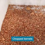 High Speed Pecan Shelling Machine 380V CE Approved 1-2 Tons Yield