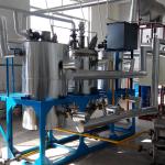 First-level Refining Stainless steel 4TPD small coconut oil refinery machine
