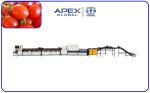 99.9% Accurate Automatic Cherry Tomato Sorting Machine PLC Control