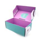 Custom Logo Printing Rigid Disposable Picnic Box Kraft Paper Snacks Subscription