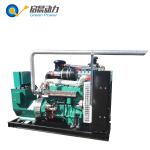 8kw Portable Electric Generators Biogas/Natural Gas/LPG Generator