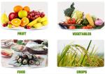 Organic Fertilizers Containing Amino Acid Chelated Calcium And Boron In Plant