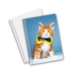 Wholesale 3D Effect 3D Lenticular Printing Notebook Hardcover Spiral Bound
