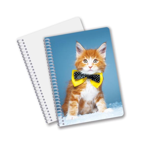 Wholesale 3D Effect 3D Lenticular Printing Notebook Hardcover Spiral Bound