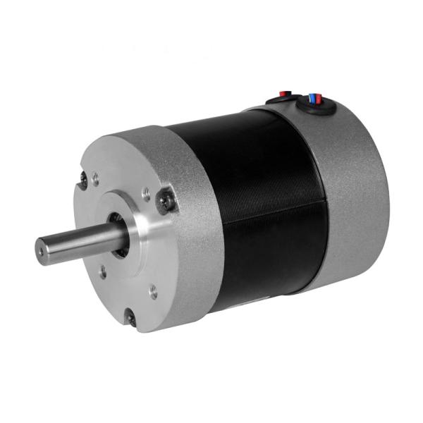 Faradyi Customized High Quality High Speed Permanent Magnet Dc Motor for