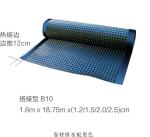 Strong Compression Resistance Drainage Cell Plastic Drainage Systems 2.0mm Cup