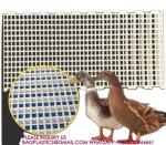 Plastic Poultry Floors 500*1200mm Chicken duck Floor poultry animal husbandry