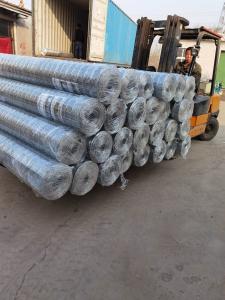 Wholesale 1.2mx30m Q195 Stee Hot Dipped Galvanized Wire Mesh Long Hole Shape from china suppliers